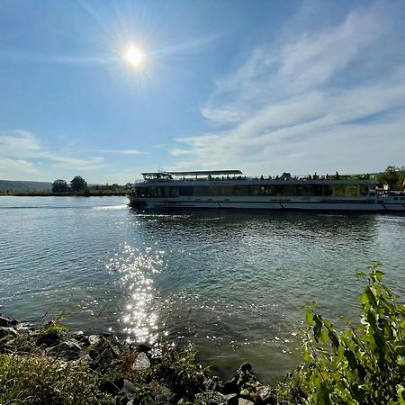 Chalet An Der Donau Direkt Bei Regensburg, 5 Sterne Dtv Pentling Экстерьер фото