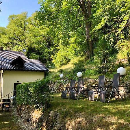 Chalet An Der Donau Direkt Bei Regensburg, 5 Sterne Dtv Pentling Экстерьер фото